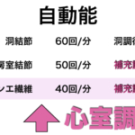 心室調律（エスケイプ）