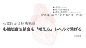心臓超音波検査を「考え方」レベルで繋げる