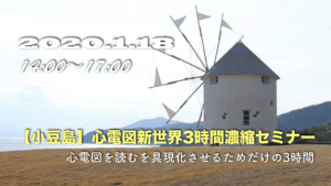 小豆島に行かずに死ねますか？心電図を読むを具現化させるためだけの3時間