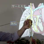 【アンケート速報】谷口セミナーは私の看護師人生も左右していきますね