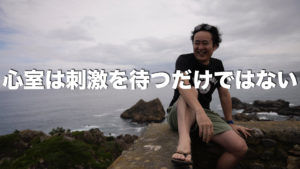 刺激が来なければ心室は動かない