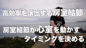 神の采配「房室結節」