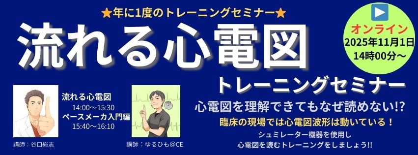 11.1(オンライン)流れる心電図トレーニングセミナー2025 11.1(オンライン)流れる心電図トレーニングセミナー2025