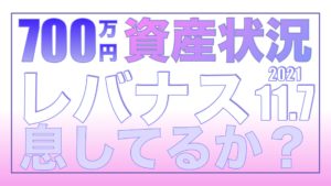 レバナスアンチ息してるか？11.7【資産状況】一括投資700万円の結果