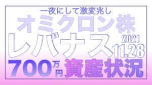 オミクロン株で激変兆し、でもレバナスは大丈夫です11.28【資産状況】一括投資700万円の結果