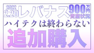 レバナス買います！続落もハイテク株は終わらない2.20【資産状況】レバナス一括投資900万円の結果