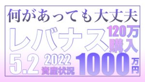 何があっても大丈夫！レバナス120万円購入します5.2【資産状況】レバナス一括投資1000万円の結果