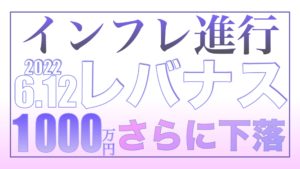 インフレ進行！レバナスさらに下落する6.12【資産状況】レバナス一括投資1000万円の結果