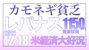 米経済大好況！ウマシカカモネギ貧乏12.18【資産状況】レバナス一括投資1150万円の結果