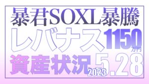 マイルール通り買え！暴君SOXL暴騰5.28【資産状況】レバナス一括投資1150万円の結果