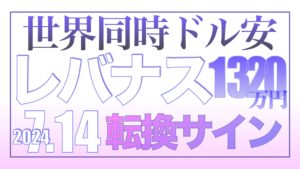 世界同時ドル安というサイン7.14【資産状況】レバナス1320万円の結果
