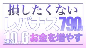 損したくない人が損しないために 10月6日【資産状況】レバナス790万円の結果