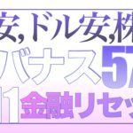 円安、ドル安、株高【資産状況】1月11日レバナス570万円資産状況